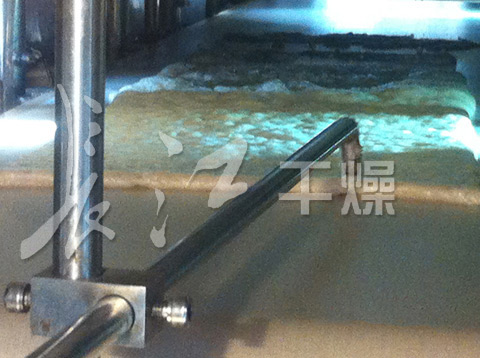 低温真空液体多层带式干燥机