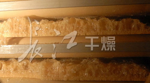 低温真空液体多层带式干燥机