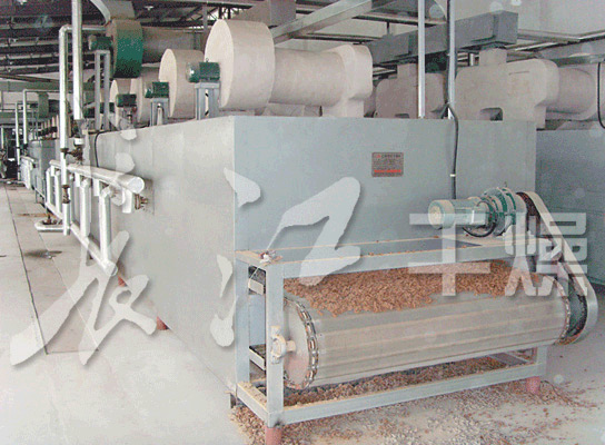 单层带式干燥机