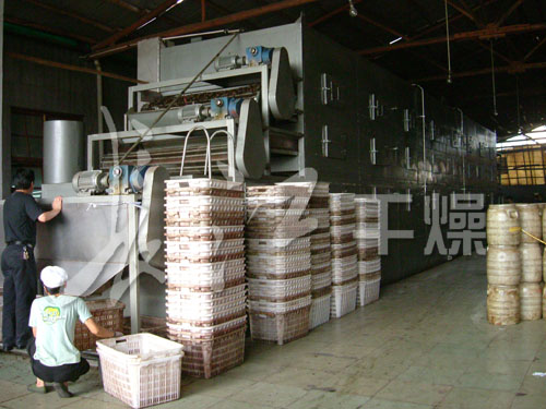 米饭专用带式干燥机