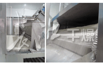 米饭专用带式干燥机A4