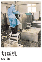 脱水蔬菜干燥机A3